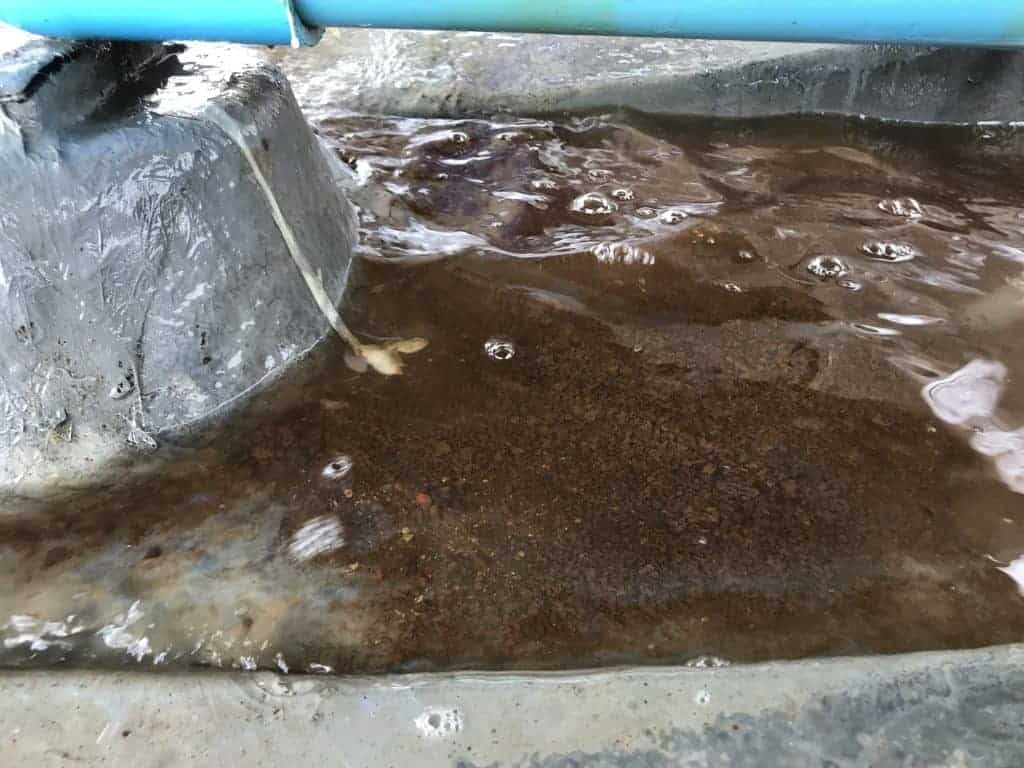 ก่อนล้าง cooling